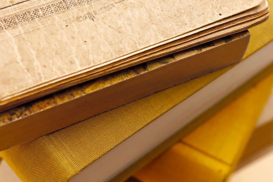 Old books and paper, the stored material silverfish feed on